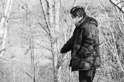 仙人台上,张建常为记者讲述当年发现青铜器的地方